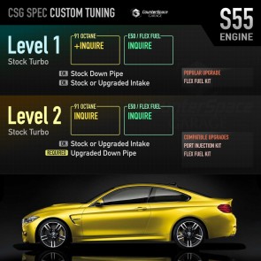 CSG Ecutek Tuning Service for BMW S55: BMW M3 F80 / BMW M4 F82 / BMW M2 Competition F87